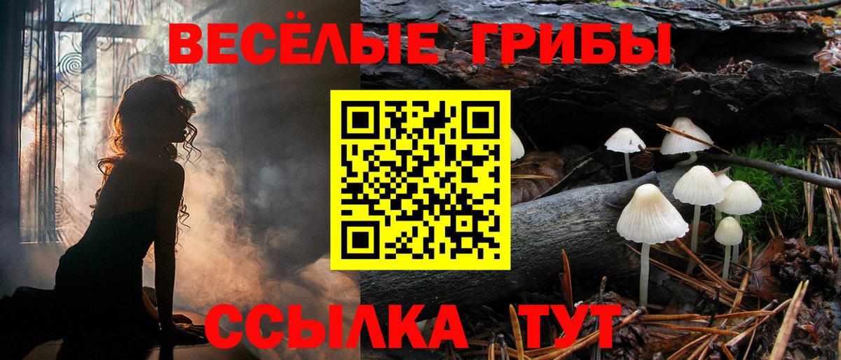 Псилоцибиновые грибы мухоморы  Вход с VPN  Ялуторовск 